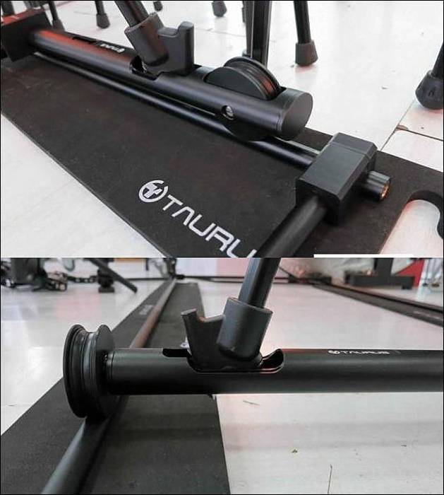 taurus_dolly2.jpg