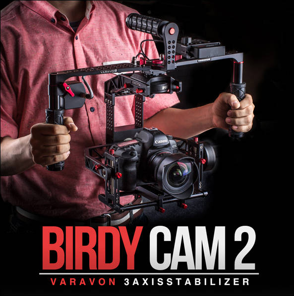 birdycam.jpg