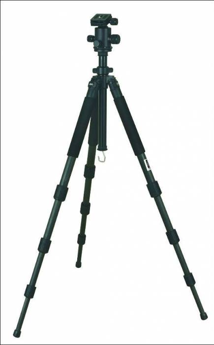 weifeng-ft-6664.jpg
